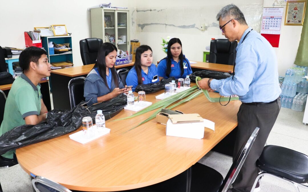 การตรวจวัดปริมาณคลอโรฟิลล์ในใบอ้อยร่วมกับนักวิจัยของ บริษัท น้ำตาลสุรินทร์ จำกัด
