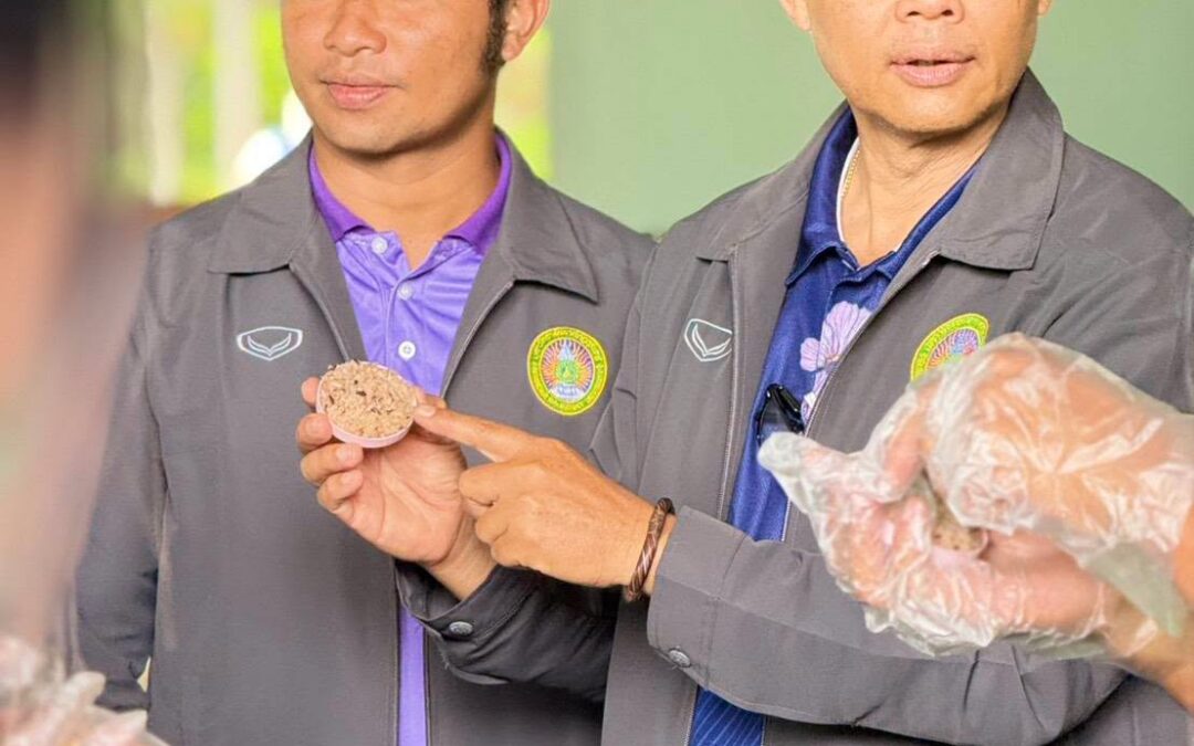 “ตู้อบแห้งพลังงานแสงอาทิตย์”